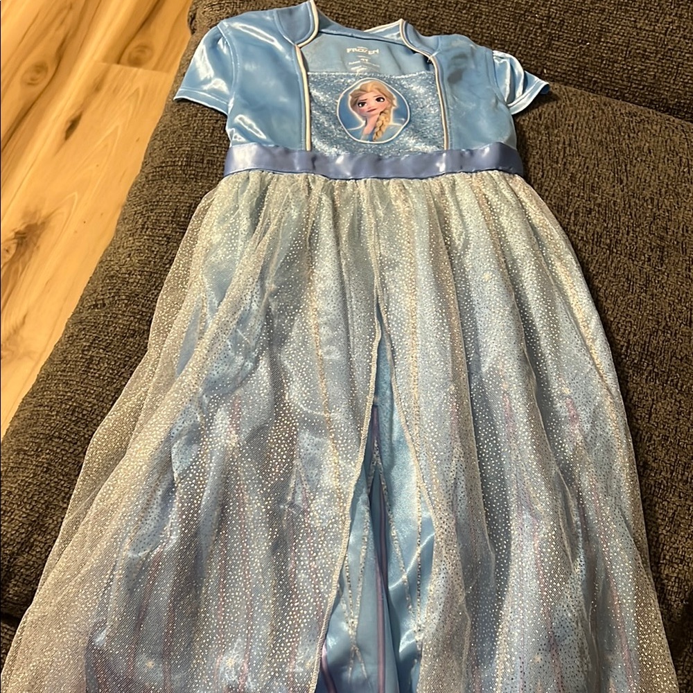 Frozen Blue Princess Costume